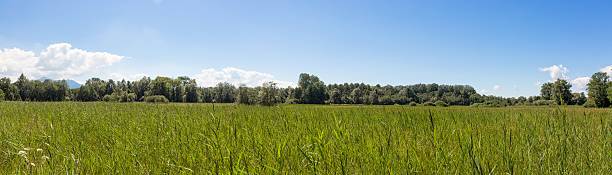istock Bike path around Lake Chiemsee, Bavaria, Germany 589112334