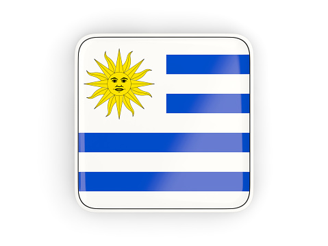 Flag of uruguay, square icon with white border. 3D illustration