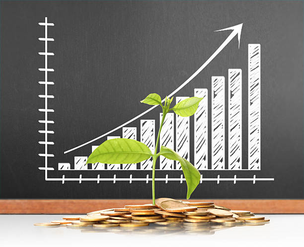istock green plant on  gold coins 589113008