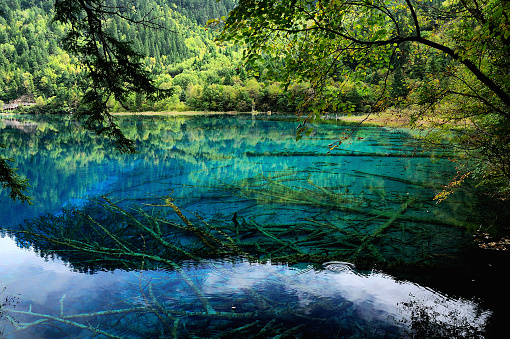 Jiuzhaigou is a nature reserve and national park located in the north of Sichuan province, China. Jiuzhaigou Valley is part of the Min Mountains on the edge of the Tibetan Plateau and stretches over 72,000 hectares.