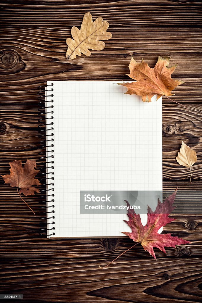 autumn background with blank for notes Above Stock Photo