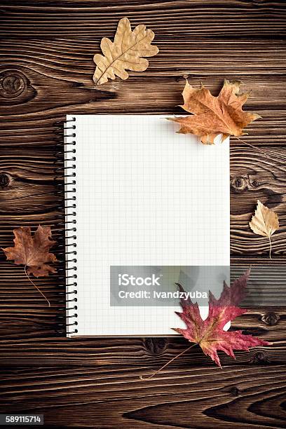 Autumn Background With Blank For Notes Stock Photo - Download Image Now - Above, Autumn, Blank