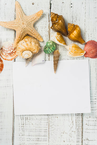 istock fish star and sea shells on the wooden background 589115868