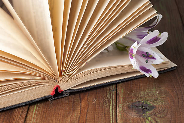 istock Close-up of open book and pen. 589116808