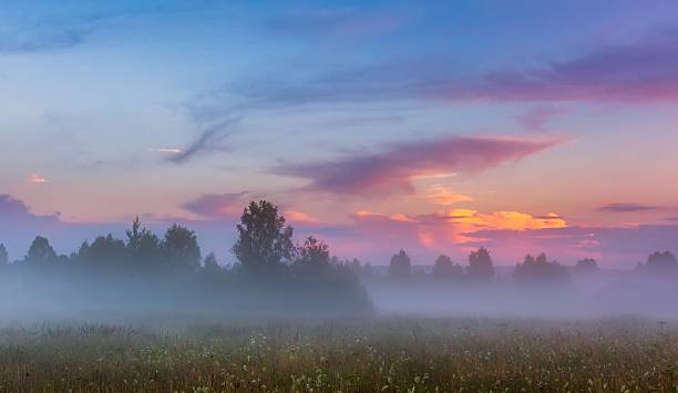 istock Wild foggy meadow landscape 589117792