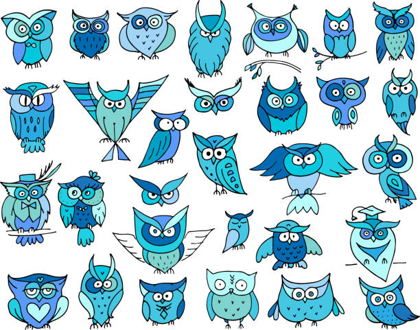 istock Set of funny owl collection for your design 589121468