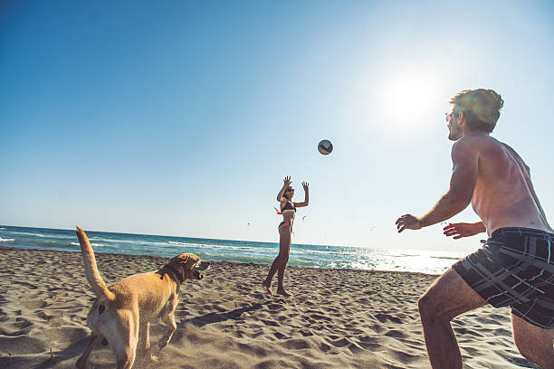 istock Friends on the beach 589124022