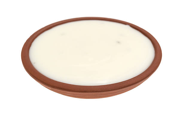 istock Fat-free blue cheese dressing in a small bowl 589125400