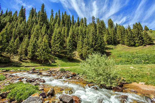 istock Asy. Kazakhstan Mountains. 589126666