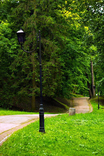 istock Track in summer park with lantern on lawn 589128822