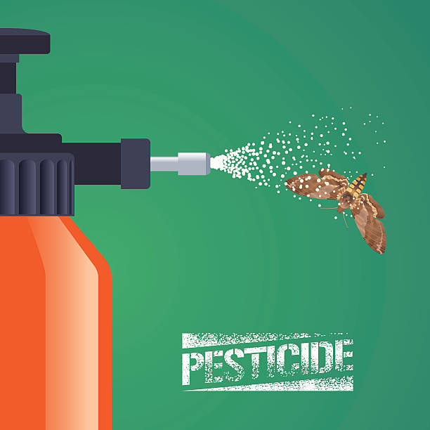 istock Pest insects control spray equipment vector illustration for farming, gardening 589128832