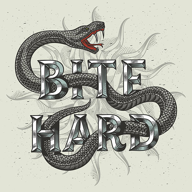 illustrazioni stock, clip art, cartoni animati e icone di tendenza di illustrazione grafica serpente con slogan inciso "bite hard". - snake biting animal mouth fang