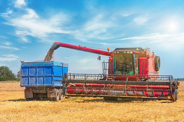istock Combine harvester on a wheat field. 589131646