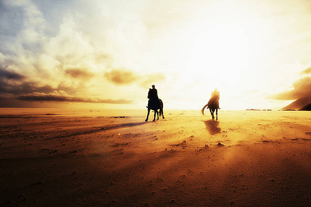 Silhouetted against setting sun, horseback riders throw shadows on sand Two women, riding horses on the sand on a windy winter's afternoon, are almost silhouetted against the cloudy, gold-tinged sky as the sun begins to set, throwing long shadows. kommetjie stock pictures, royalty-free photos & images