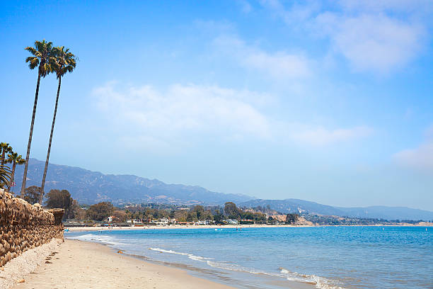 istock Santa Barbara beach with palm trees. 589133498