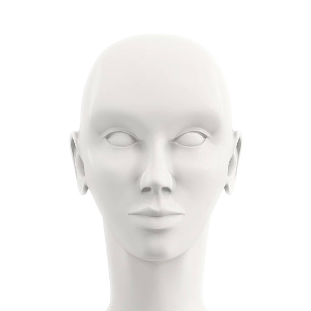 istock front view of white female mannequin head 589134694