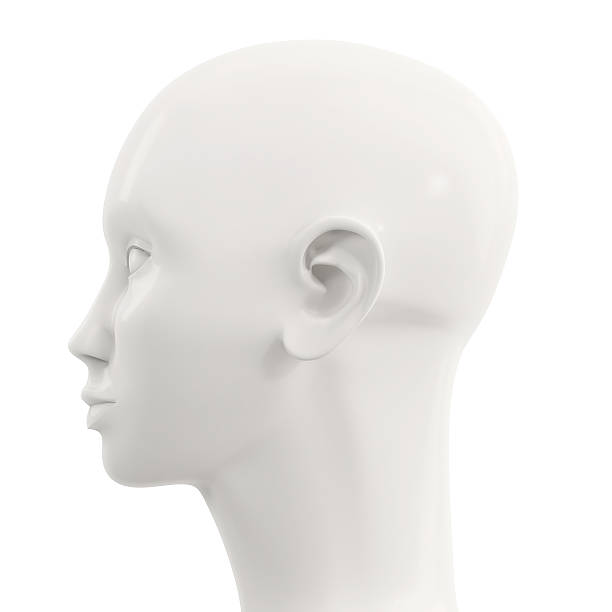istock side view of white female mannequin head 589134748