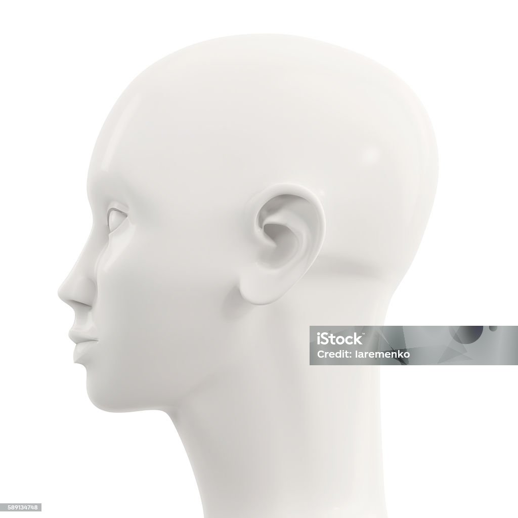 side view of white female mannequin head Mannequin Stock Photo