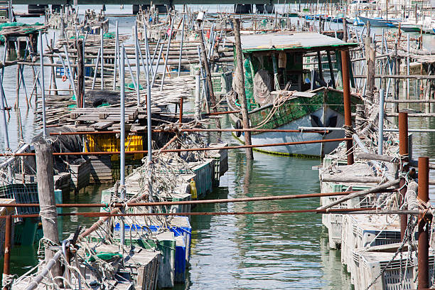 istock cages for the harvesting of shellfish 589135816