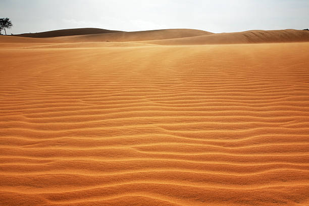 Dunes near Mui Ne. Vietnam