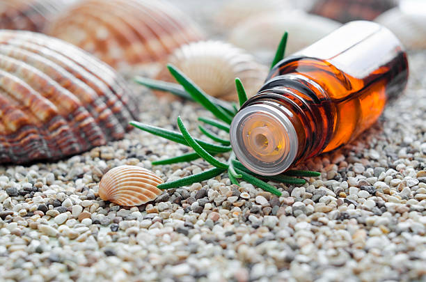 kleine flasche ätherisches rosmarinöl. - alternative medicine herbal medicine aromatherapy oil herb stock-fotos und bilder