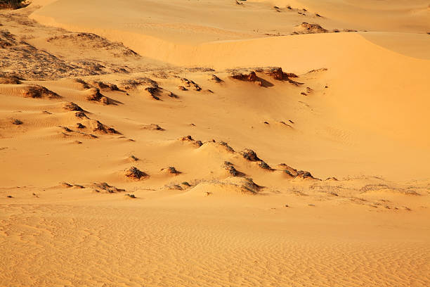 Dunes near Mui Ne. Vietnam
