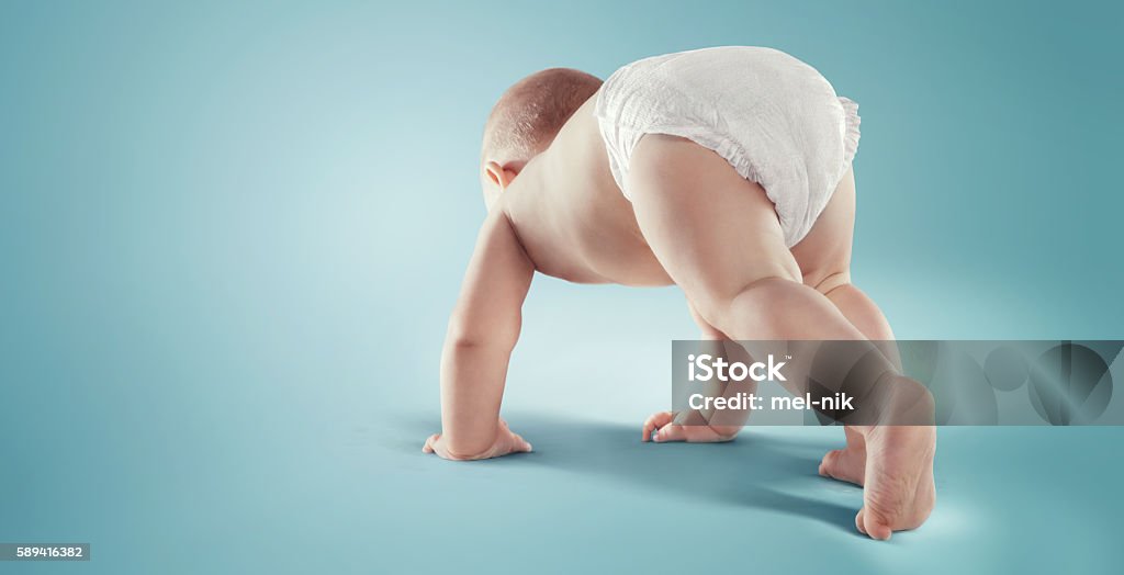 Baby. Newborn in the diaper. Isolated Cute baby buttock with diaper Baby - Human Age Stock Photo