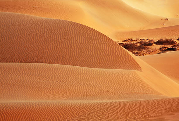 istock Dunes near Mui Ne. Vietnam 589416448