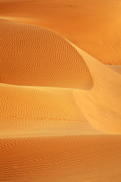 istock Dunes near Mui Ne. Vietnam 589416638