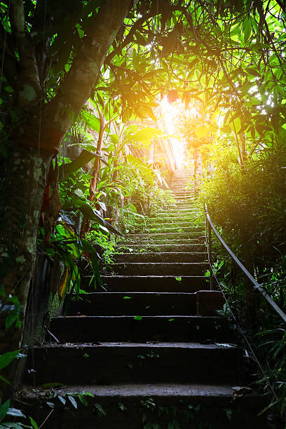 istock Stair in forest and light in dark. 589419708
