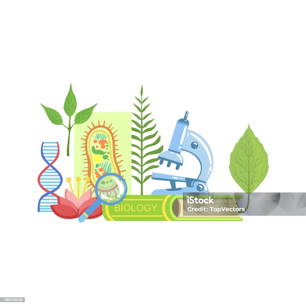 Biological Objects Example Biology Class Set Of Objects Stock Illustration - Download Image Now ...