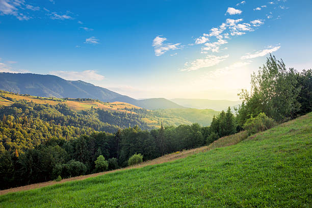 istock Sunny day in The Mountain Valley 589421874
