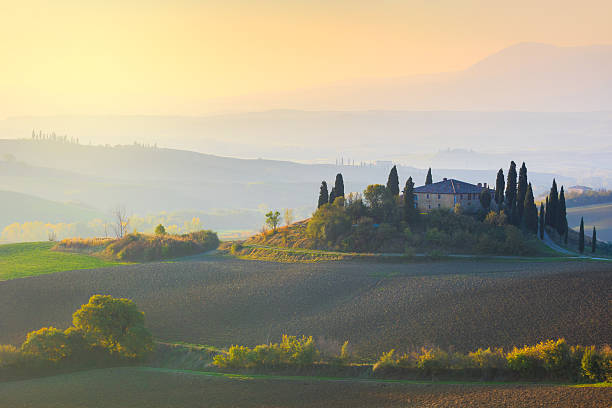 istock Typical Tuscany landscape at gentle sunrise light 589422902