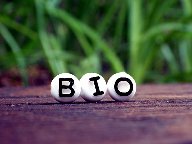istock Bio word on Wooden table, Nature Background 589423178