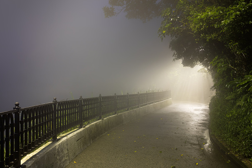 Mystery Fog in the dark park with way to light, nobody