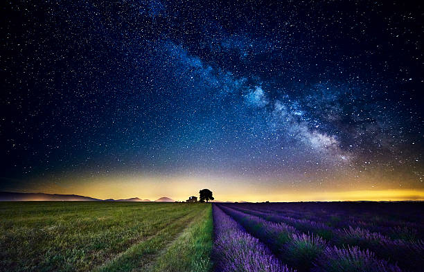 istock Milkway in Valensole 589426956