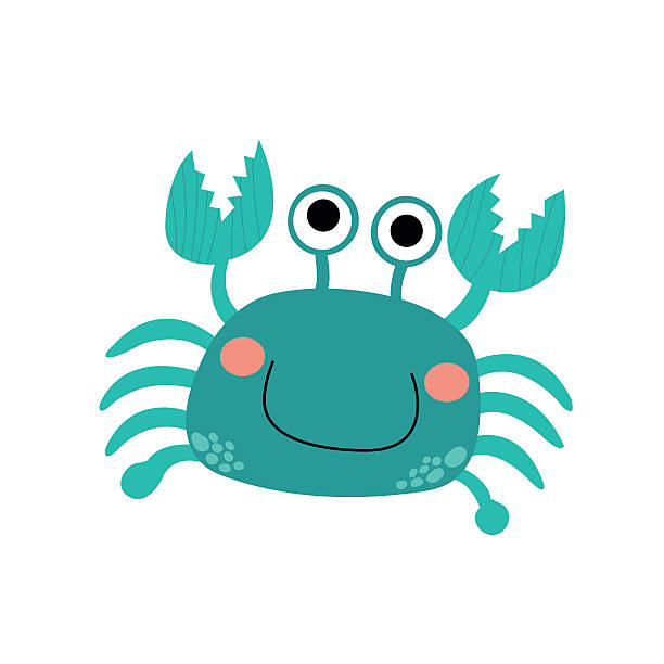 Happy bue Crab animal cartoon character vector illustration. Happy bue Crab animal cartoon character. Isolated on white background. Vector illustration. decapoda stock illustrations