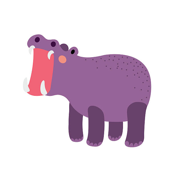 illustrazioni stock, clip art, cartoni animati e icone di tendenza di ippopotamo che apre la bocca animale cartone animato carattere illustrazione vettoriale. - animal hippopotamus africa yawning