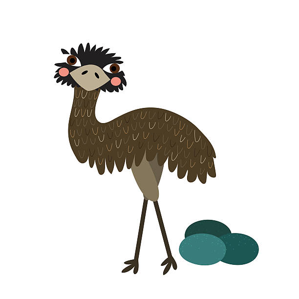 Standing Emu With Eggs Animal Cartoon Character Vector Illustration Stock  Illustration - Download Image Now - iStock