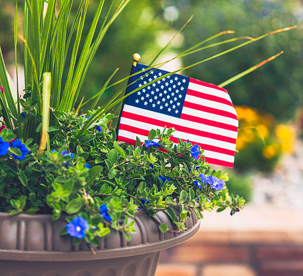 Garden planter with flowers and US flag for American holidays Garden planter with flowers and US flag for American holidays american flag flowers stock pictures, royalty-free photos & images