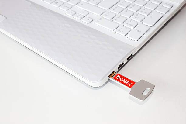 istock Pendrive in a laptop with the money word 589428522