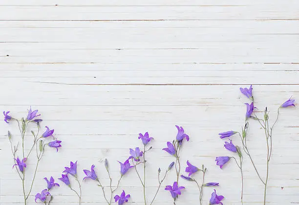 bluebel flowers om white wooden background