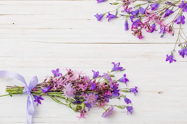 bluebel flowers om white wooden background