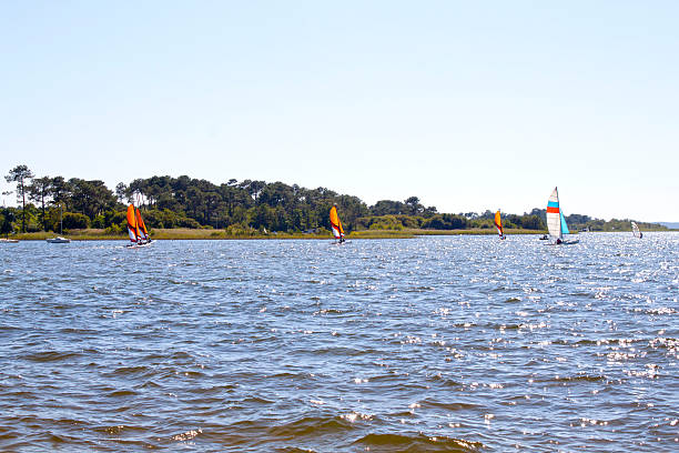 istock several sailing boats in a lake 589429422