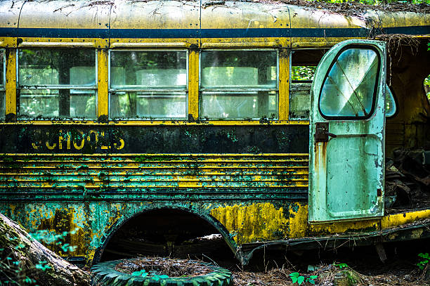 istock Derelict Classic American Cars 589430328