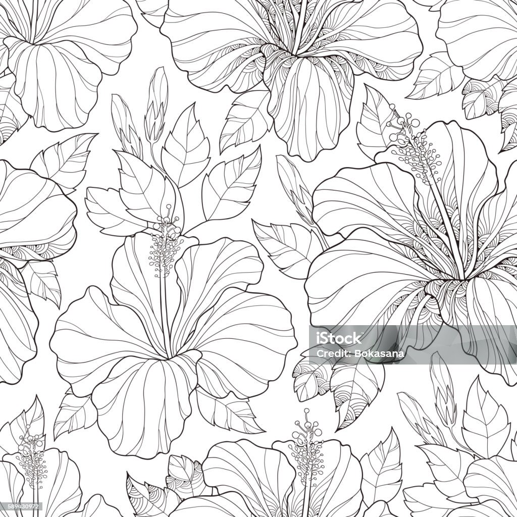 Seamless pattern with Hibiscus, bud and leaves on the white. Vector seamless pattern with ornate Chinese Hibiscus flower, bud and leaves on the white background. Monochrome floral background with Hibiscus in contour style for summer design and coloring book. Hibiscus stock vector