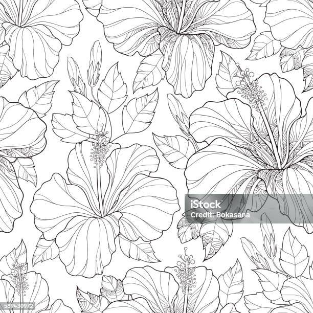 Seamless Pattern With Hibiscus Bud And Leaves On The White Stock Illustration - Download Image Now