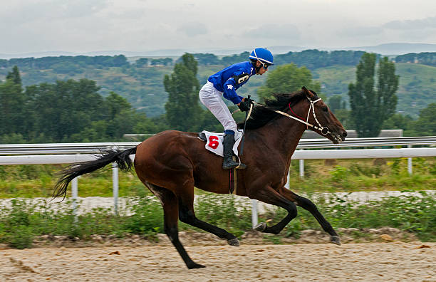 istock Horse racing in Pyatigorsk 589431212