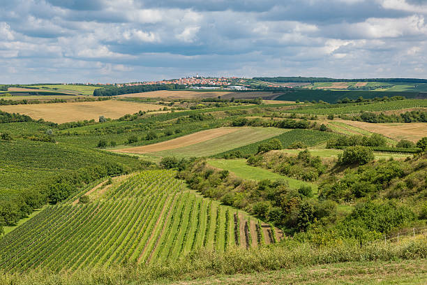 istock View of the village Boretice 589431222