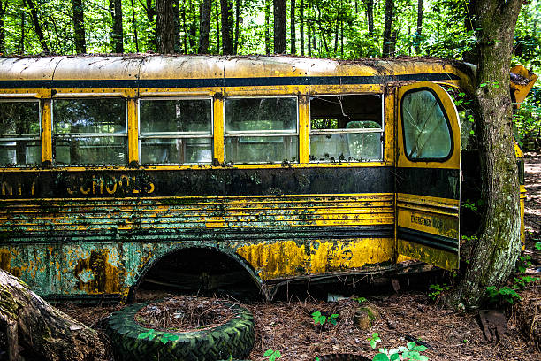 istock Derelict Classic American Cars 589431308